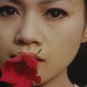 Meet your Posher, Fruit